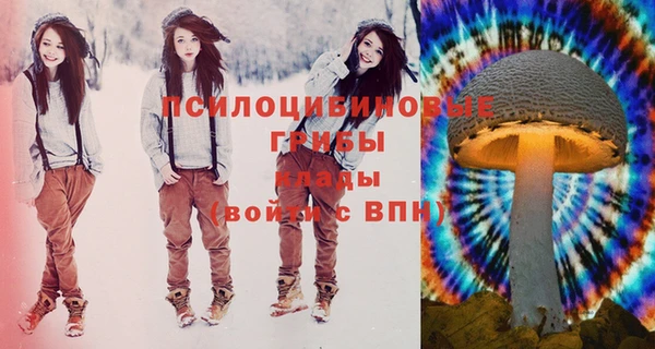 дурь Балахна