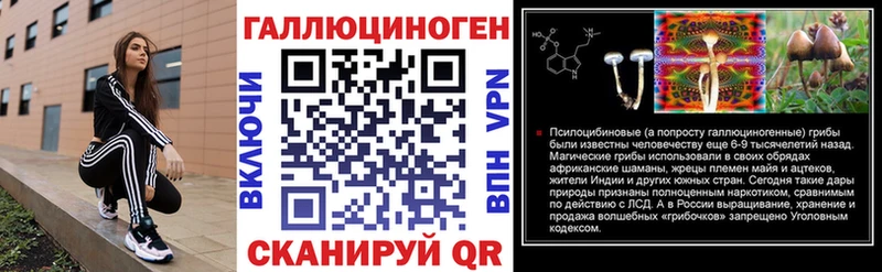 Галлюциногенные грибы Psilocybe Верея