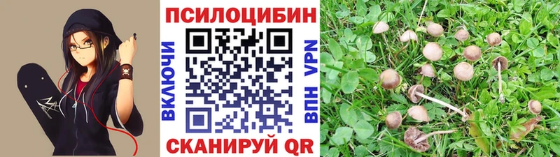 Галлюциногенные грибы MAGIC MUSHROOMS  Верея 