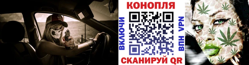 Бошки Шишки сатива  ссылка на мегу ссылка  Верея 